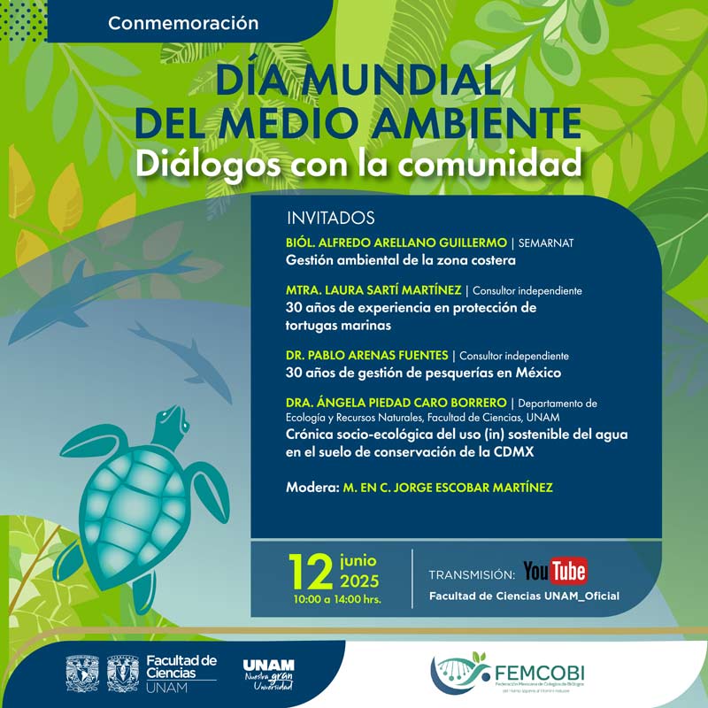 dmma120625