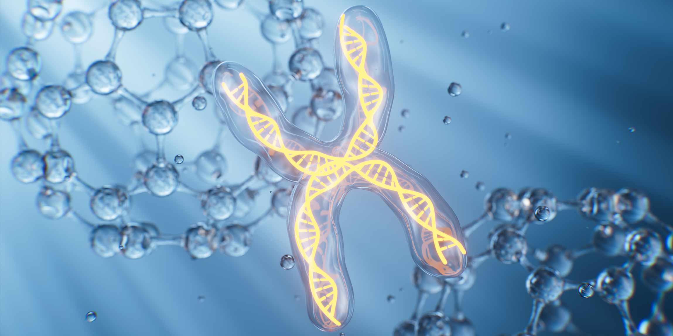Antropología Molecular
