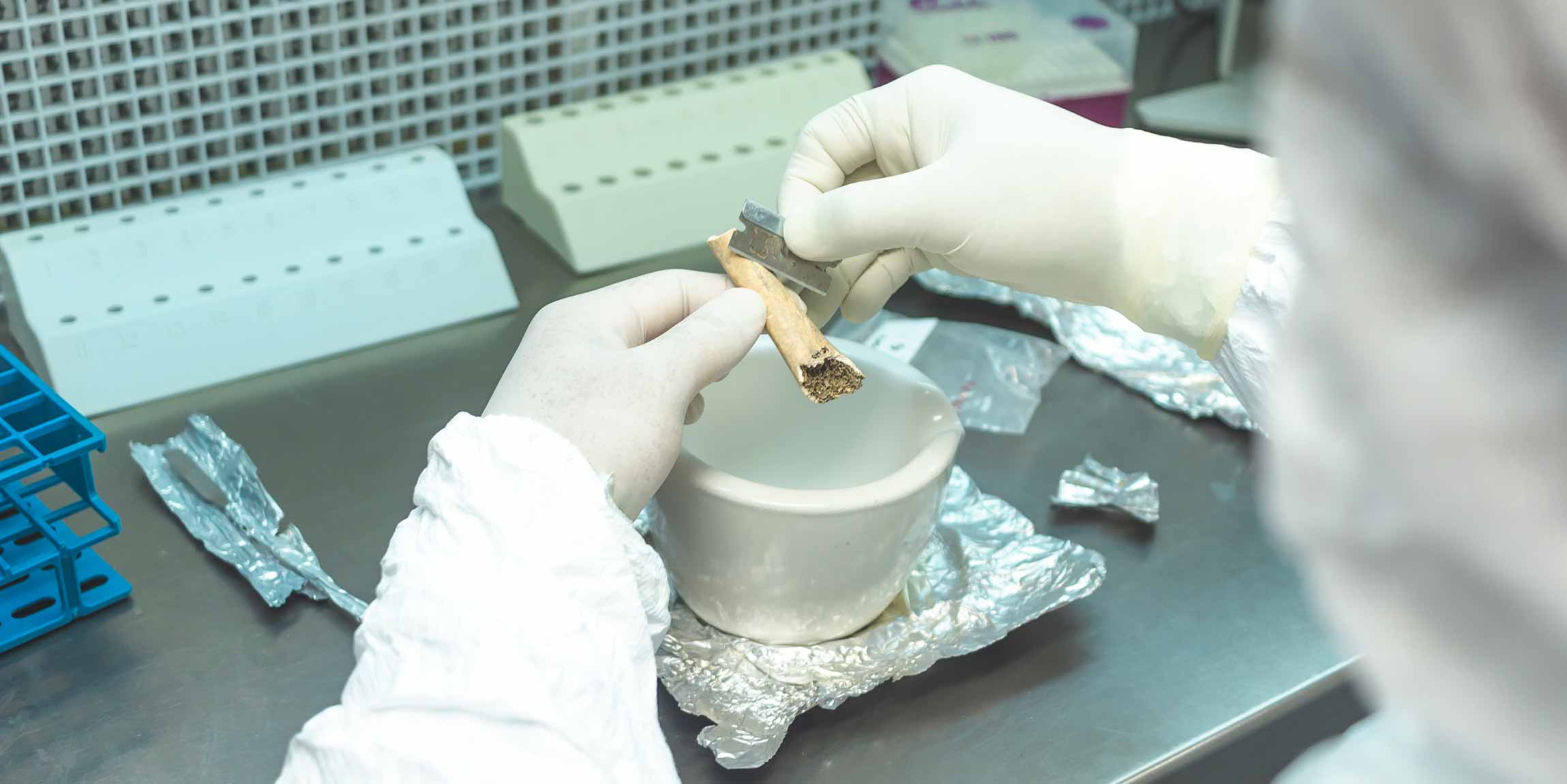 Antropología Molecular