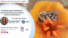 umdij090425